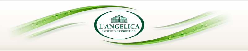 logo-langelica